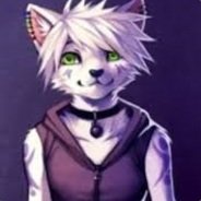SilvaTheFurry