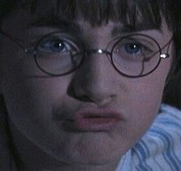 HarryPooter