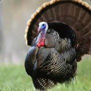 TurkeyNugget
