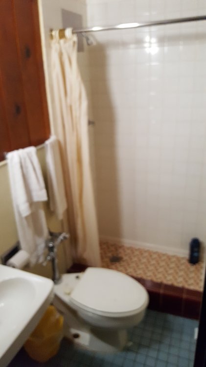 20160710_105156.thumb.jpg.f281fea039ecfb5eecd47f6a3b8d02a9.jpg