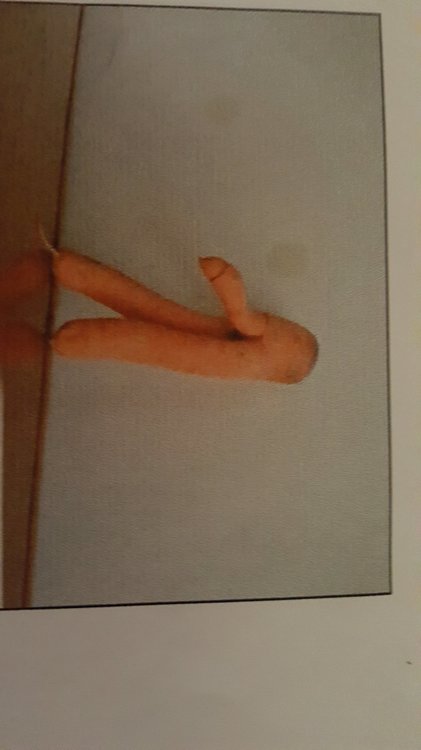 20170504_123527.thumb.jpg.a155ebf6d44d685f8553c37691fbc92b.jpg