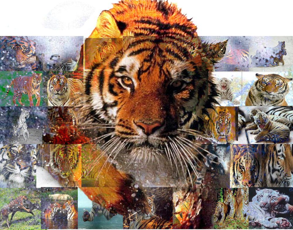 4-Montage-Gerome.thumb.jpg.a4c7180931423fbe43a26739fe6083fa.jpg