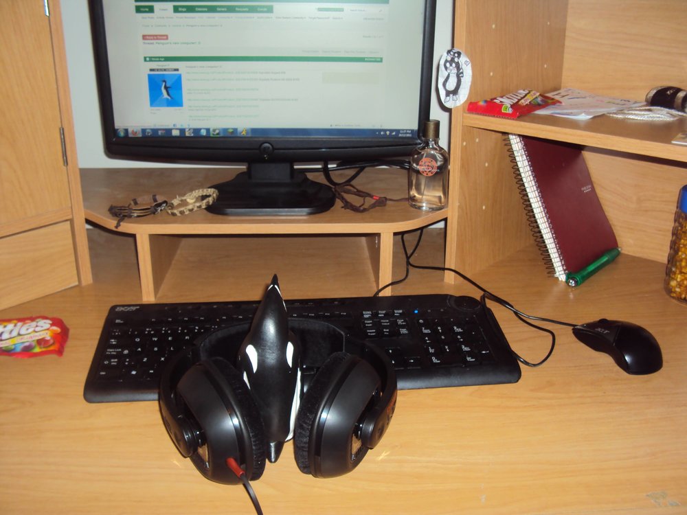 4af4w.thumb.jpg.f95bbbbf8cee177256eeca207a49b920.jpg
