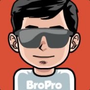 BroPro