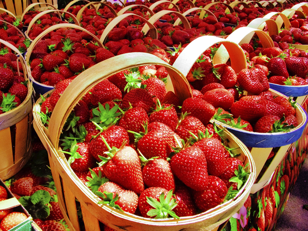 5aa4bb7a56c06_strawberry2.thumb.jpg.3e2a1425c5d32020a1571761b57e092d.jpg