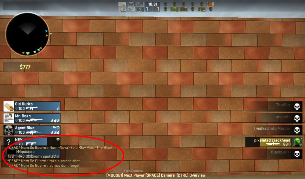 5aa4bbeb37edb_NomDeGuerreisracist.thumb.png.1d2f5c8ba1297edf9e76051c35bf6de5.png