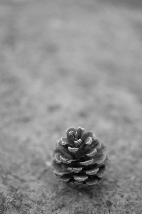JAN_1674.thumb.jpg.fe9b35a095eccfe1c298f723522a8e62.jpg