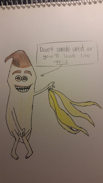 NakedBanana.thumb.jpg.95cacf68c3c753efd9022d6c5fb76b3d.jpg