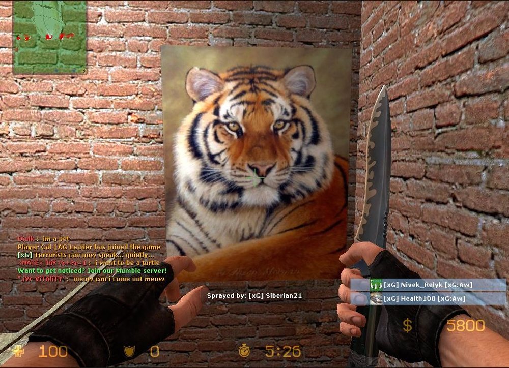 Qz83LW.thumb.jpg.3f3127714416e3e82db9ee7af13231e7.jpg