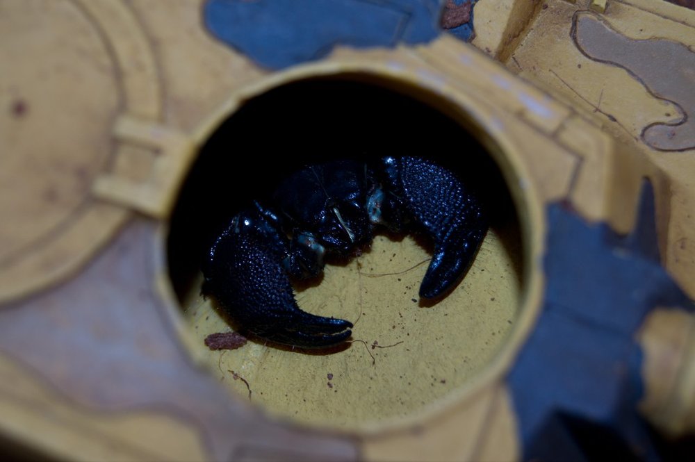 ad.facdn.net_art_matsi_1343633415.matsi_im_in_a_tank.thumb.jpg.f467bd1a594a076dbdf1bd8155b6305f.jpg