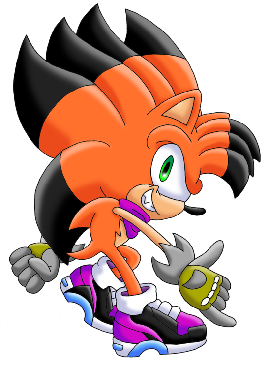 afc07.deviantart.net_fs70_f_2013_198_4_4_seltzur_s_soap_shoes_by_seltzur_the_hedgehog_d6dxi0a.thumb.png.858665435bbba66ad7e9494cf99e04b8.png
