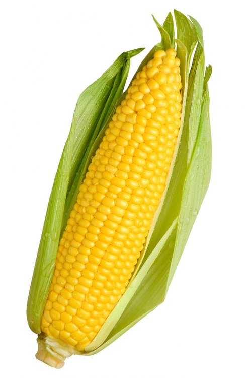 aimg1.wikia.nocookie.net___cb20131128223759_creepypasta_images_7_7b_Corn.thumb.jpg.e52b9556f90679bd9057708561a3d535.jpg