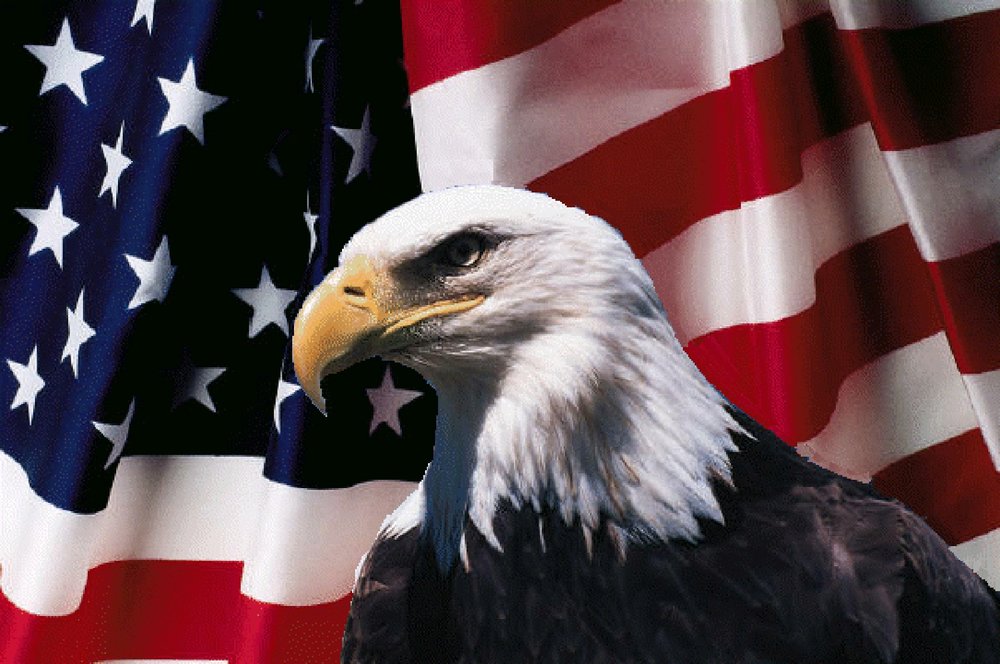 apearlsofprofundity.files.wordpress.com_2013_07_american_flag_and_eagle_2.thumb.jpg.9c5cb50ec739998d4d622325b0bf934b.jpg