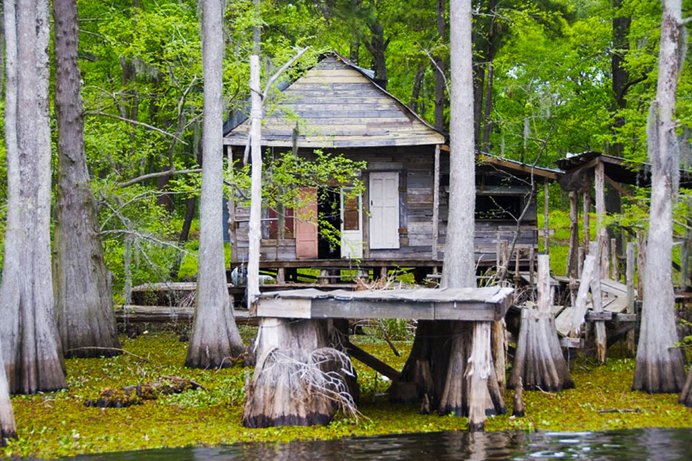 aswamppenguin.com_assets_tpl_fsb_images_swamp_bkg_slide_swamp_house2.thumb.jpg.d60ee21553f51d6bcbdf93835c1a6e2a.jpg