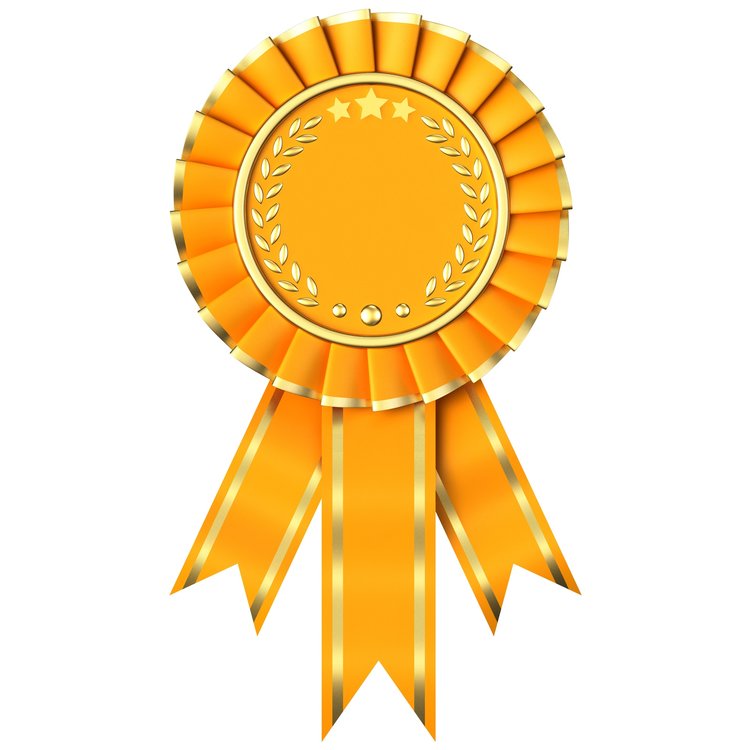 award.thumb.jpg.5d8f47dfb64d3a2f49947b5d7445f877.jpg