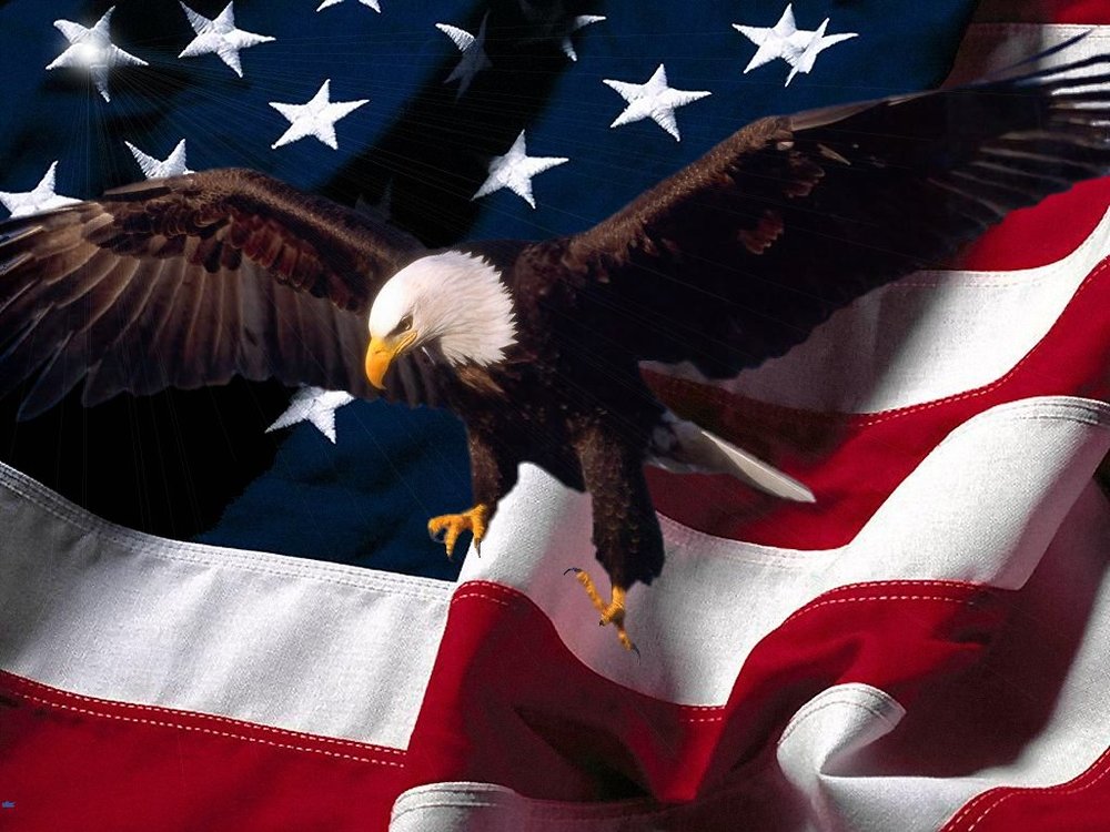 awww.americanwarrior.us_images_Patriotic_New_FlagEaglebg.thumb.jpg.cd938205be9d0ffdf938c7dbccc108b5.jpg