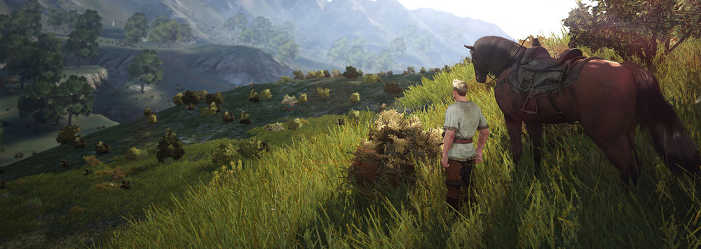 awww.black_desert.com_wp_content_uploads_2013_07_xukrj0ol.thumb.jpg.9fed554f41cc1119bfdd499866b938ab.jpg