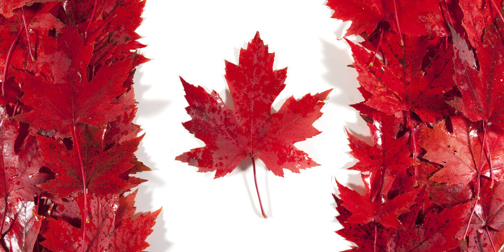 awww.canadarugbyleague.com_wp_content_uploads_2015_12_o_CANADA_FLAG_facebook.thumb.jpg.9ac222b2bd259861d1e6e7d468cdbbef.jpg