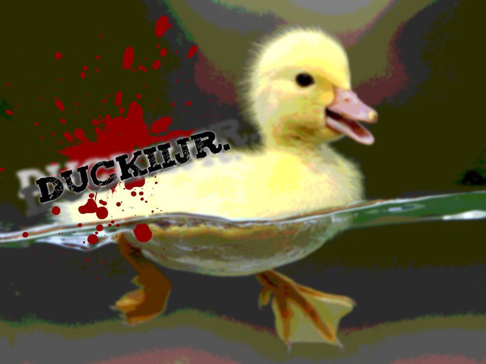 baby-duck-wallpaper.thumb.jpg.e2a7b275d5df32b428625d7a9637b88d.jpg