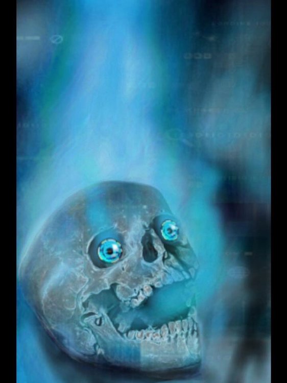 image.thumb.jpg.e689df0f928f8c39edd8d4d28ac1f193.jpg