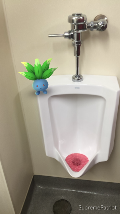 image.thumb.png.42ac6406a19bb842576239b5ea3b0f8d.png