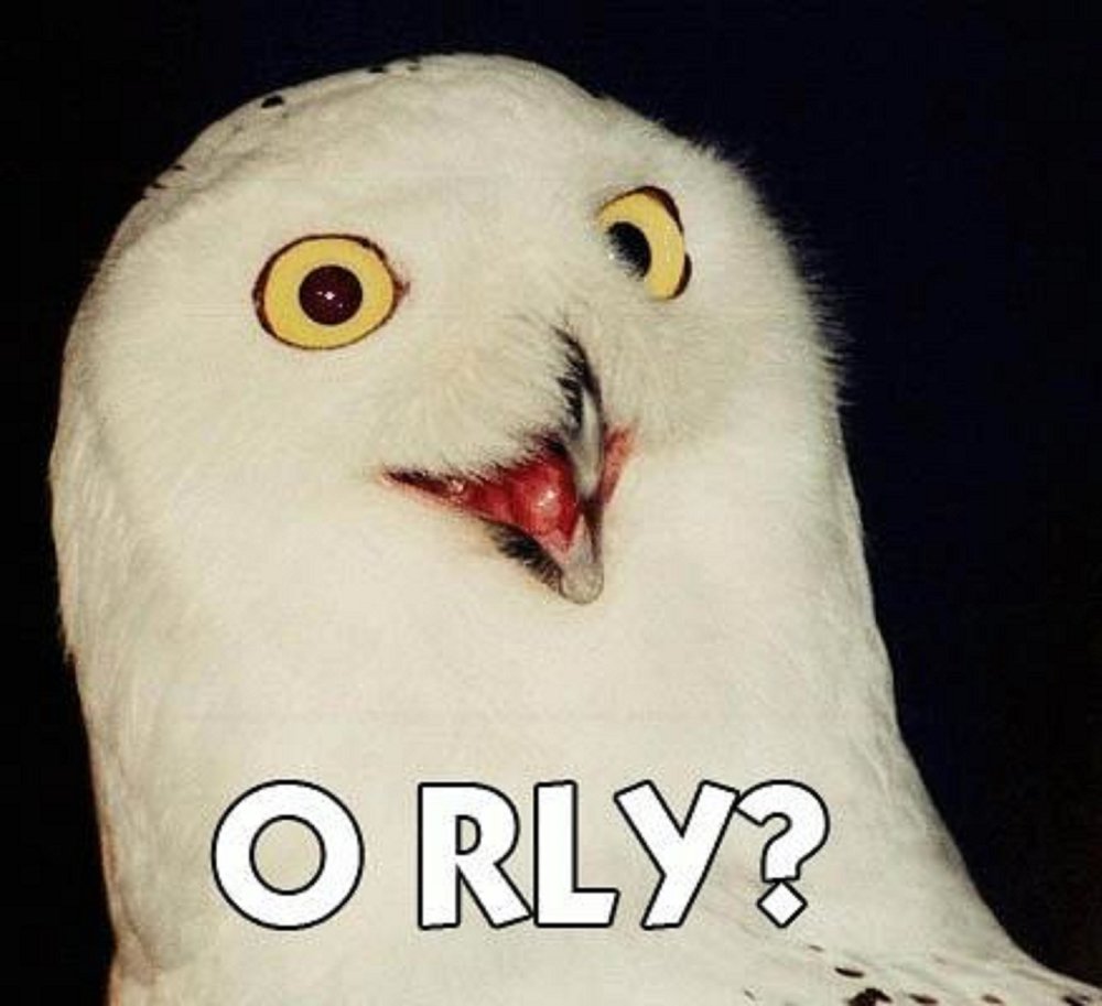 orlyiz.thumb.jpg.ff1ba3d0b146aa6b77eabfe588c2011a.jpg