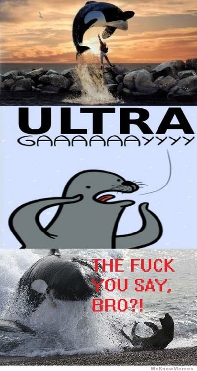 the-fuck-you-say-bro.thumb.jpg.b3ed23a20d93014632a51480115d7a7c.jpg