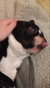 973276494_alfie5.png.0a2fb0bd12b0e378bad988ecd64aec5c.png