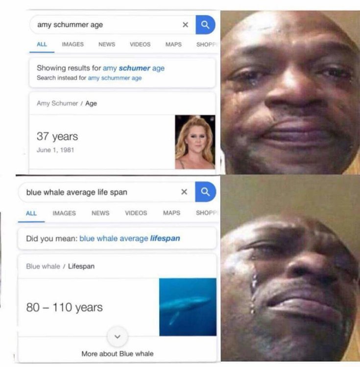 amy.jpeg