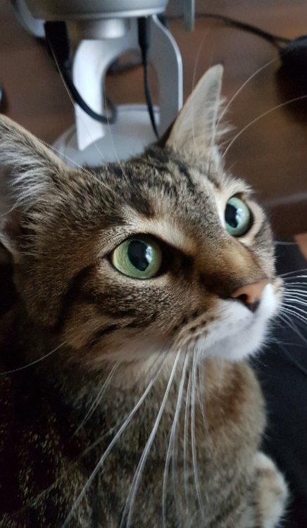 20181001_022338.jpg