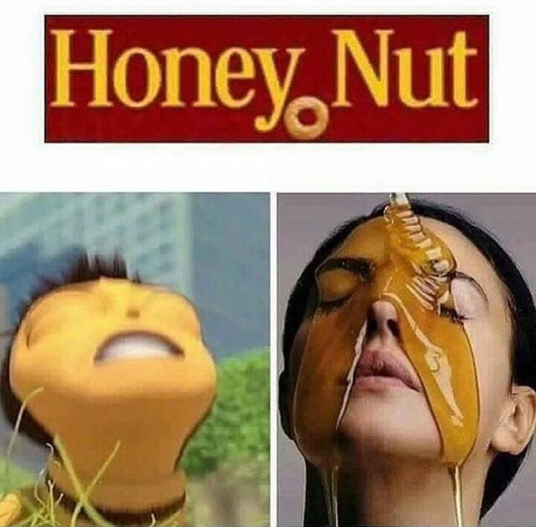 VxaconT.jpg