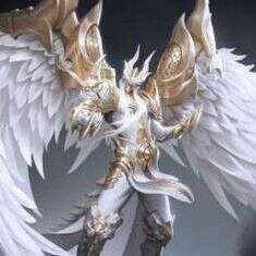 EnigmaticPaladin