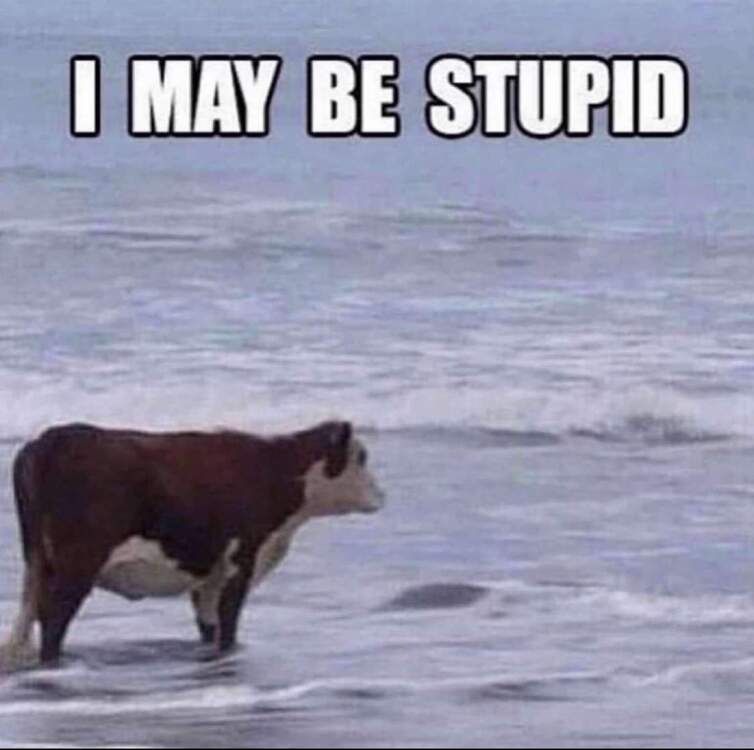 Snapchat-1485492462.jpg