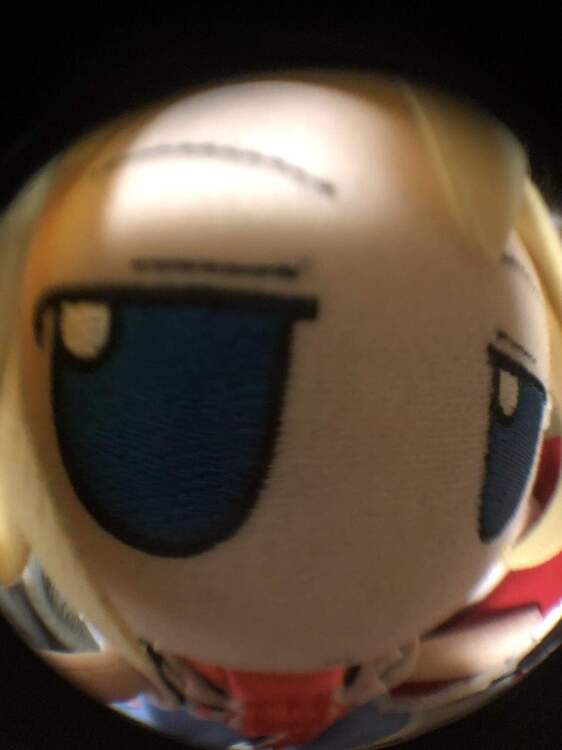 alicestare.jpg