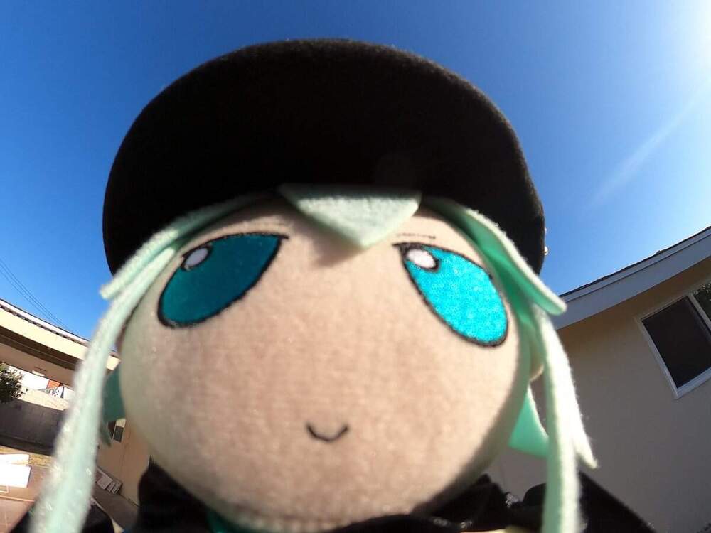 koishistare.jpg