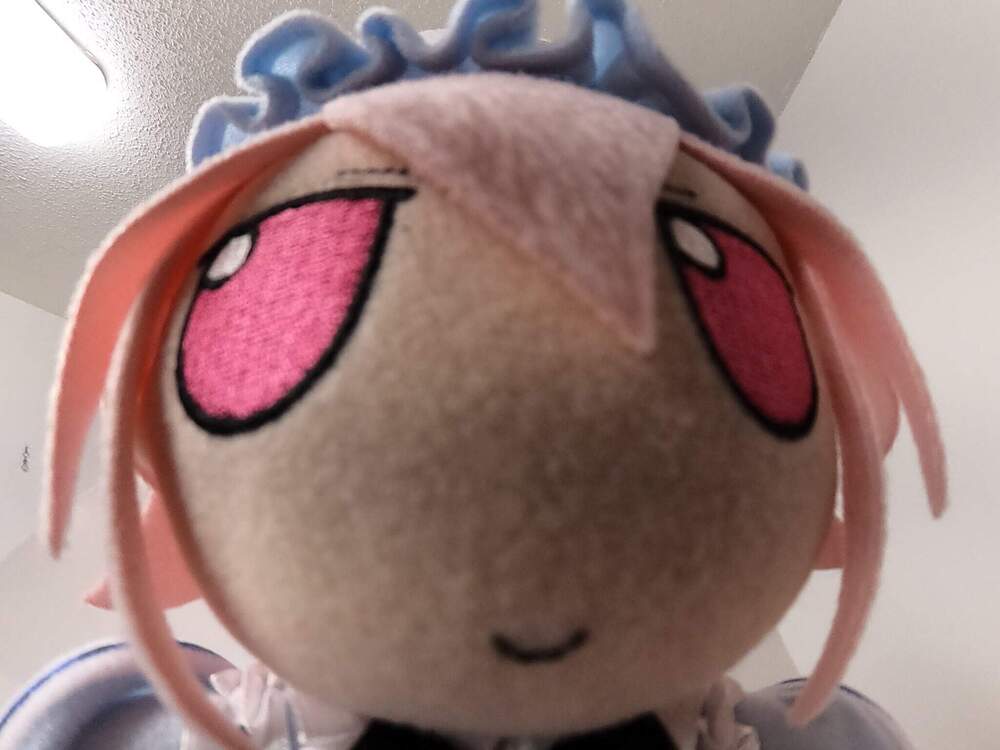 yuyukostare.jpg